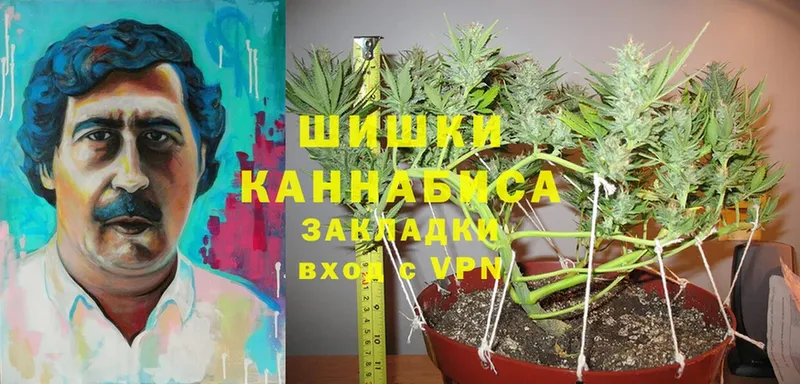 Бошки Шишки LSD WEED  купить  сайты  Кирс 